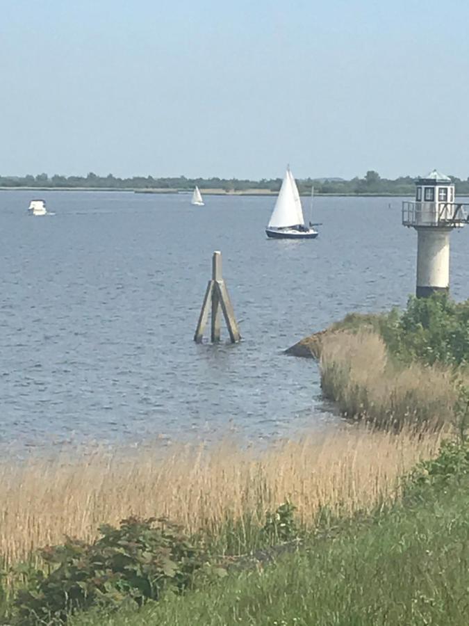 De Lauwersmeer Vogel Mit Eingezäuntem Garten *